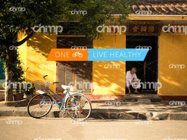 blog-grid